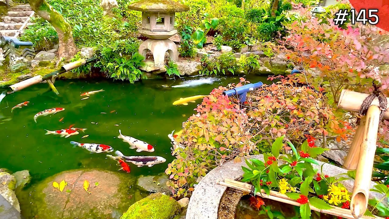 ⛩️ 이마이즈미 야사카 신사(이마이즈미 야사카 진자) 이미지 5